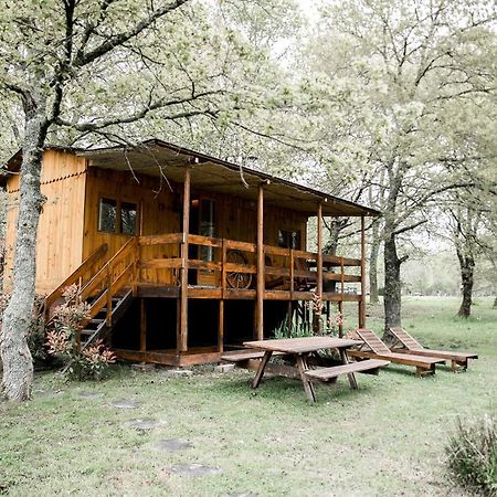 Bed and Breakfast Le Ranch Amadeus Saint-Paul-en-Born Exterior foto