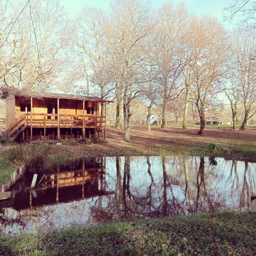 Bed and Breakfast Le Ranch Amadeus Saint-Paul-en-Born Exterior foto