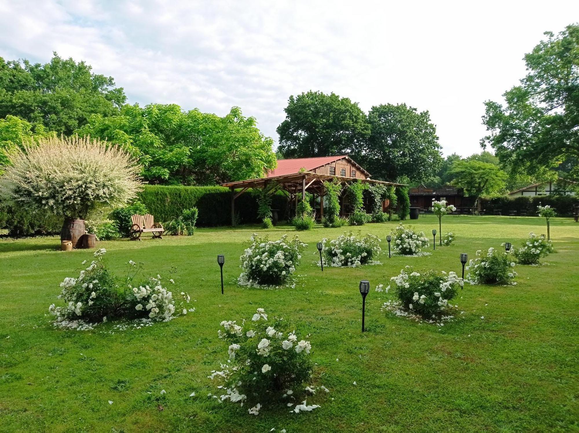 Bed and Breakfast Le Ranch Amadeus Saint-Paul-en-Born Exterior foto